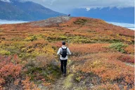 Seward Heli Hiking Adventure 4 hr thumbnail 3