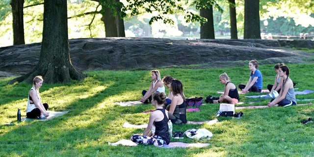 New York Central Park Yoga Class - Image 3