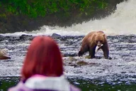 Juneau Bear Viewing Tour at Waterfall Creek thumbnail 5