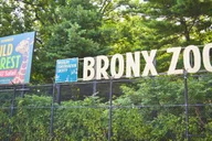 New York Bronx Zoo Tour with Private Transfers thumbnail 3