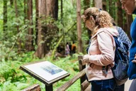 San Francisco Muir Woods and Sausalito Tour thumbnail 4