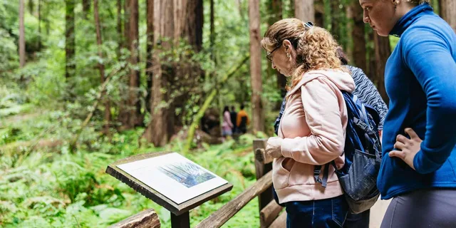San Francisco Muir Woods and Sausalito Tour - Image 4