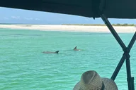 Naples Water Shuttle to Keewaydin Island thumbnail 4