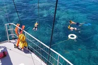 Key West Reef Snorkel & Sail Adventure thumbnail 3