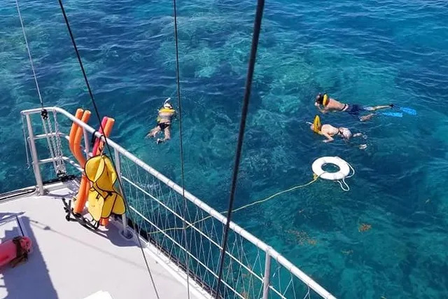 Key West Reef Snorkel & Sail Adventure - Image 3