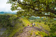 Kona Volcano Crater Hike thumbnail 4