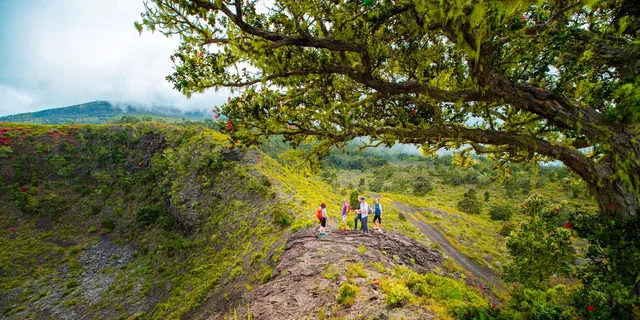 Kona Volcano Crater Hike - Image 4