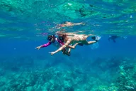 Waikoloa Snorkel Cruise thumbnail 1