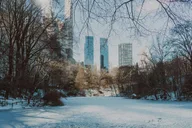 New York City Christmas Movie Locations Tour thumbnail 4