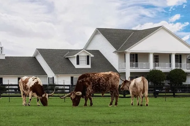 Dallas Southfork Ranch Limousine Tour - Image 6