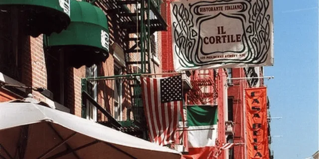 New York City Mafia History and Little Italy Tour with Dinner - Image 6