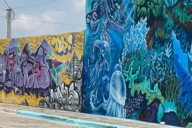 Miami Little Havana and Wynwood Walls Tour - Image 2