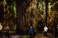 New York Broadway Show: Redwood Starring Idina Menzel thumbnail 2