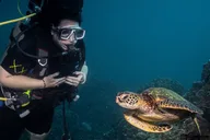 Lahaina Scuba Diving Class thumbnail 5