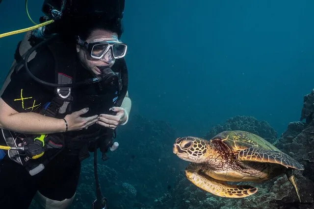 Lahaina Scuba Diving Class - Image 5