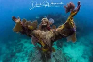 Key Largo Snorkeling and Scuba Reef Trip thumbnail 5