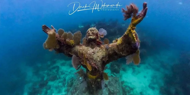 Key Largo Snorkeling and Scuba Reef Trip - Image 5