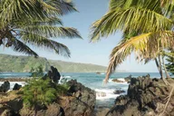 Maui Road to Hana Rainforest & Waterfall Tour thumbnail 6