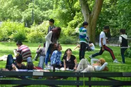 New York Central Park Photo Tour thumbnail 5