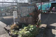Hilo History and Legends Audio Walking Tour thumbnail 1