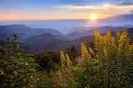 Asheville Photo Tour with Photography Lessons thumbnail 4