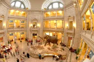 Washington D.C. Smithsonian Museum Chinese Tour 1.5 hr thumbnail 2