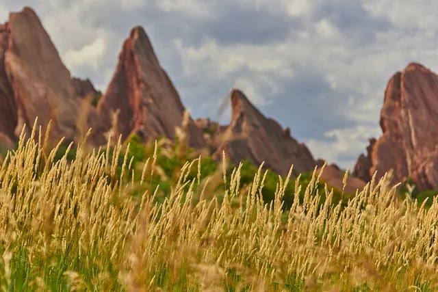Colorado Nature Tour for Couples - Image 2
