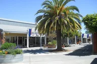 San Francisco Shopping Tour to Petaluma Outlets thumbnail 5