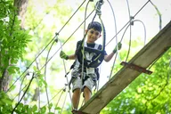 Bristol Mountain Aerial Adventure Park Admission thumbnail 2