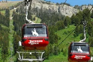 Salt Lake City Yellowstone and Grand Teton Tour thumbnail 4