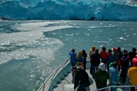 Whittier Glacier Quest Cruise with Onboard Lunch thumbnail 5