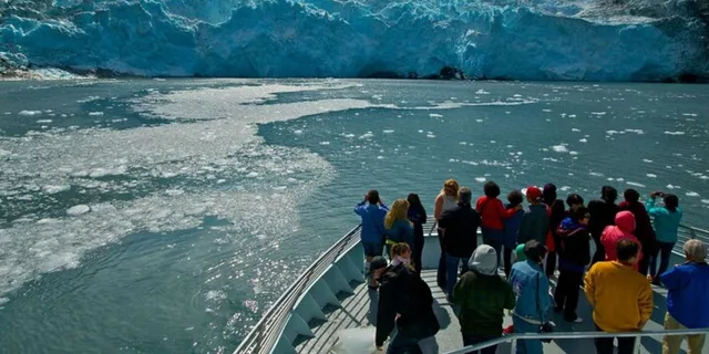 Whittier Glacier Quest Cruise with Onboard Lunch - Image 5