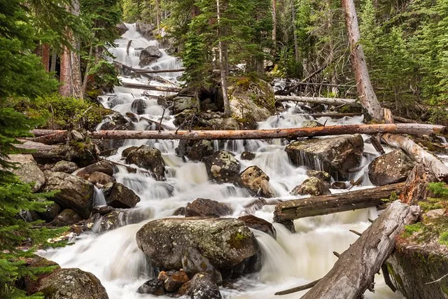 Estes Park Photography Hike in Rocky Mountain National Park - Image 2