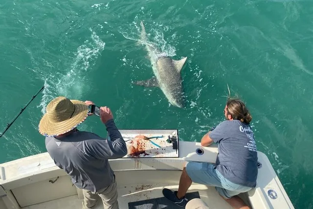 Key West Offshore Fishing Adventure 8 hr - Image 5