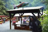 Juneau Gold Creek Salmon Bake thumbnail 1