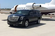 Houston Private Transfer to Galveston Port thumbnail 2