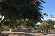 La Jolla eBike Rental Full Day thumbnail 3