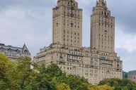 New York Central Park Pedicab Tour 1 hr thumbnail 4