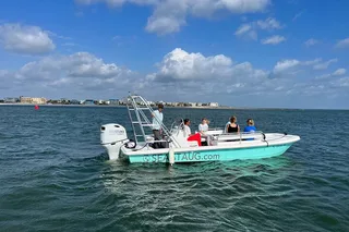 St. Augustine Dolphin and Nature Boat Excursion 90 min