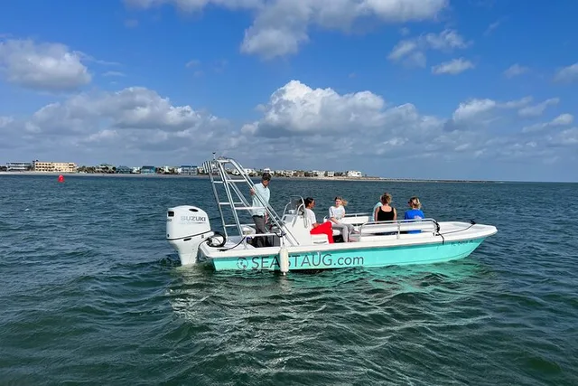 St. Augustine Dolphin and Nature Boat Excursion 90 min - Image 1