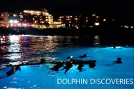 Kona Manta Ray Night Snorkel thumbnail 5