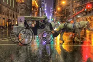 New York City Central Park Horse Carriage Tour thumbnail 6
