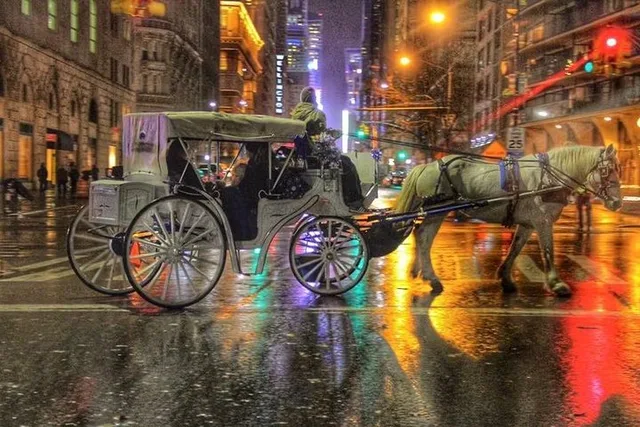 New York City Central Park Horse Carriage Tour - Image 6