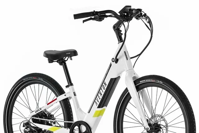 St. Petersburg Electric Bike Rental on Pinellas Trail - Image 5