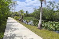 Miami Everglades Small-Group Tour in French 4 hr thumbnail 6