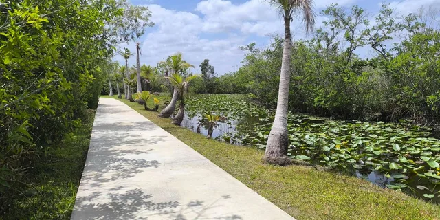 Miami Everglades Small-Group Tour in French 4 hr - Image 6