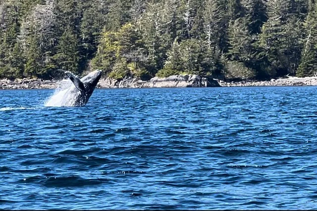Sitka Private Island Experience - Image 4