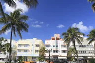 Miami City and Boat Tour thumbnail 3