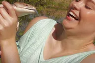 Orlando Gatorland Interactive Tour with Animal Trainer 2 hr thumbnail 4