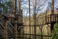 Sevierville Hiking & Swinging Bridge Adventure thumbnail 2